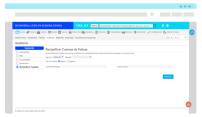 ERP contable con modulo de auditoria